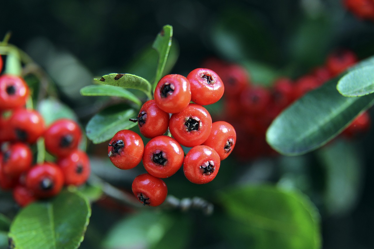 下半赛季逐 下半赛季逐