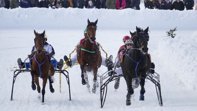 另一支豪门 另一支豪门