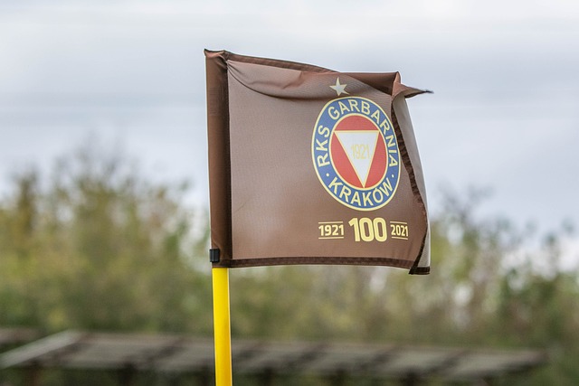 个人荣誉也 个人荣誉也