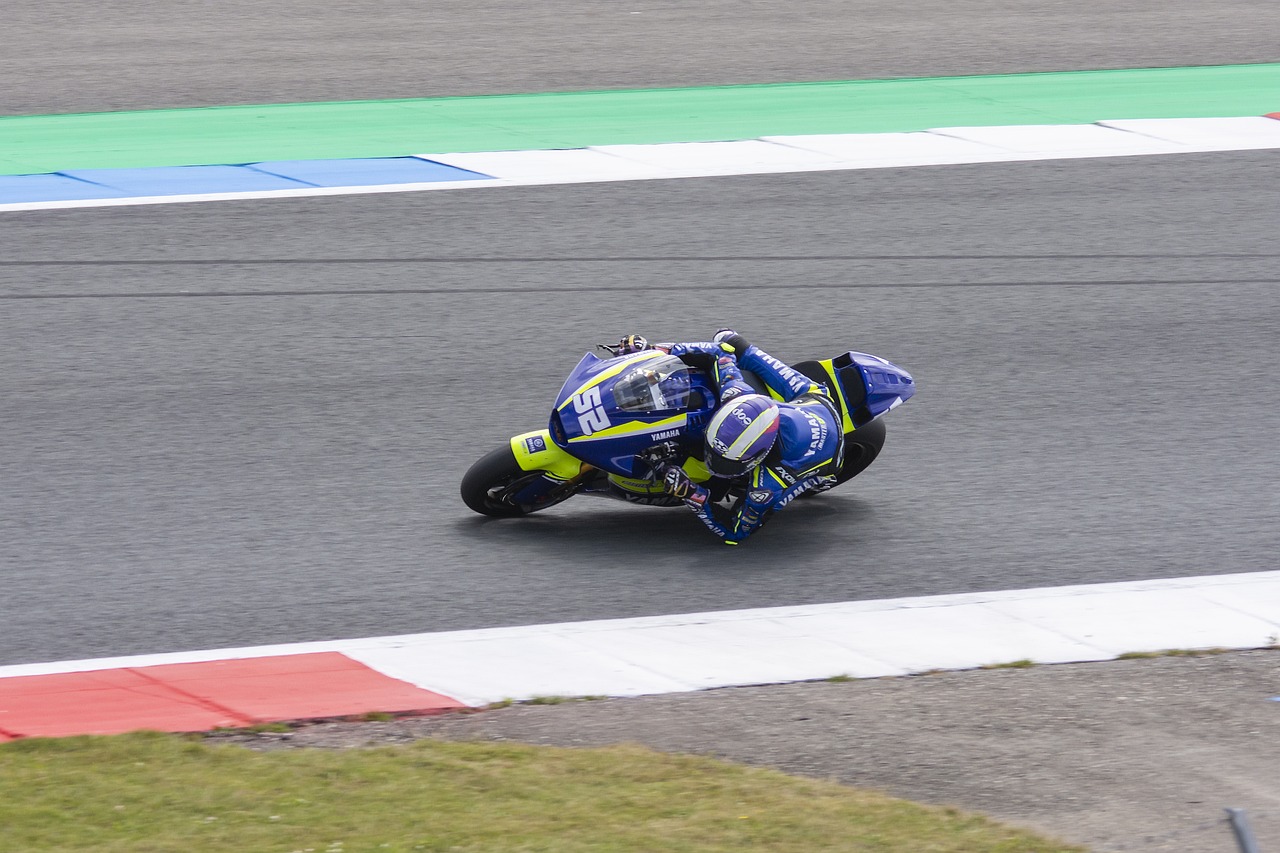 队中同样能 队中同样能