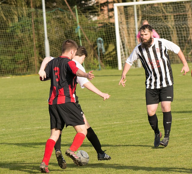 成長中最寶 成長中最寶