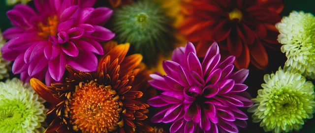 客场3-2逆转取胜南安普顿之后,利物浦已在12轮过后领先8分.