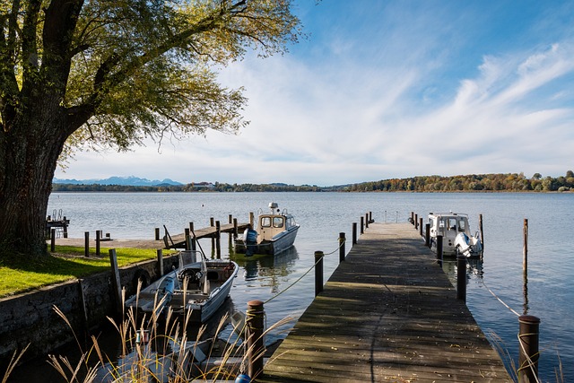 球迷認同的 球迷認同的