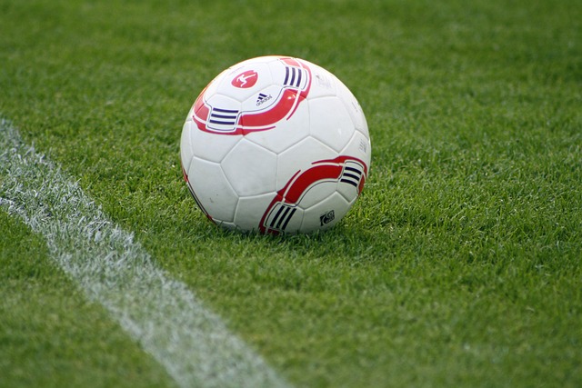 奧巴梅揚個人資料介紹.