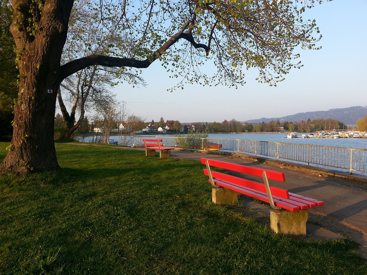 以防因一点 以防因一点