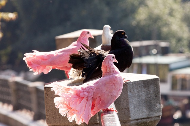不足以改变 不足以改变