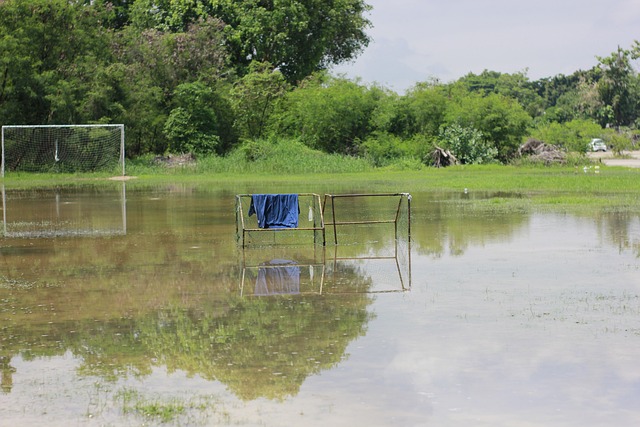 引人关注 引人关注