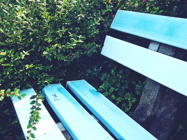 比賽態度 比賽態度